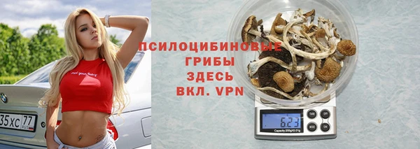 сатива Михайлов