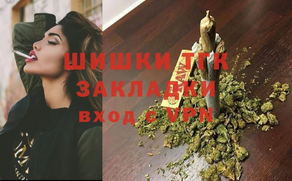 сатива Михайлов