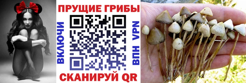 купить наркоту  KRAKEN ONION  Галлюциногенные грибы ЛСД  Тюмень 
