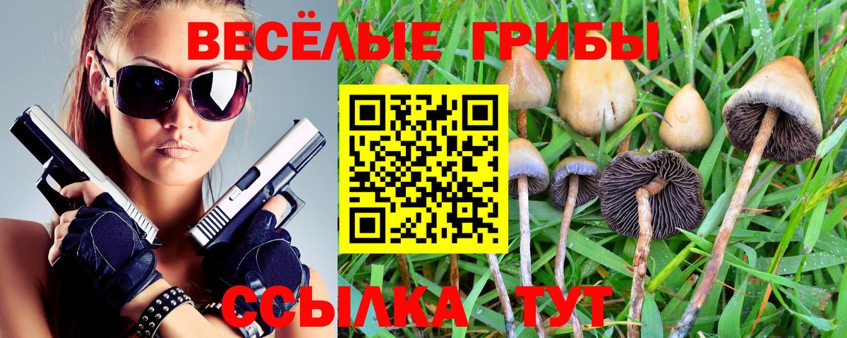 Псилоцибиновые грибы мицелий  Вход с VPN  Тюмень 