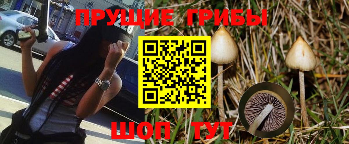 Псилоцибиновые грибы прущие грибы Тюмень